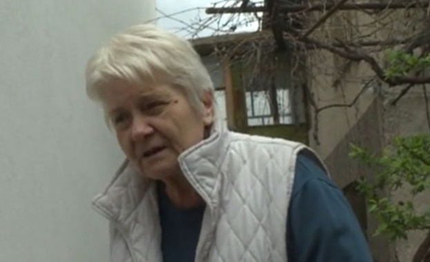 70 годишна жена от Пазарджик стреля по бездомни кучета но погрешка