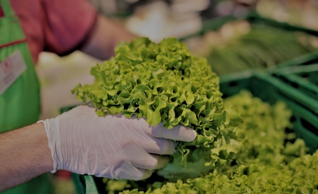 Kaufland България Свежа зелена салата хрупкави краставици и пресен лук