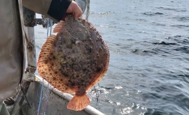 От 15 април 2023 г със заповед на министъра на