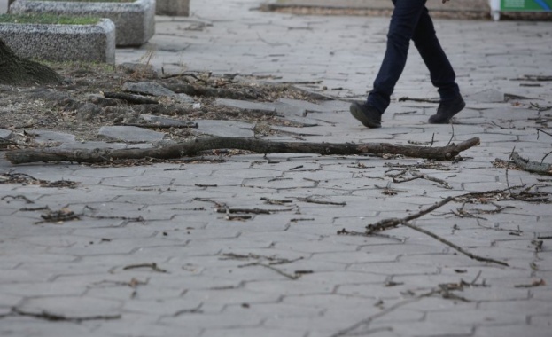 Екипи работят по десет сигнала за щети причинени от силния