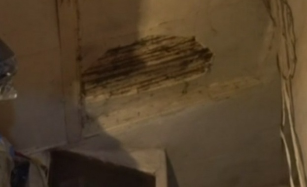 Възрастна жена от Лом осъди местната власт заради теч от