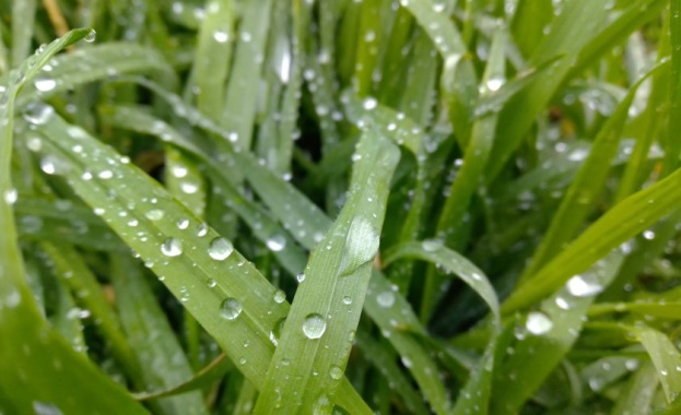 През нощта вятърът и в Източна България ще се ориентира