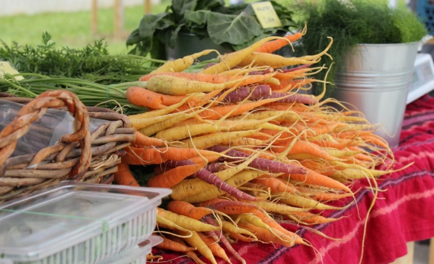 Фермерските пазари на Lidl стартират този уикенд в София