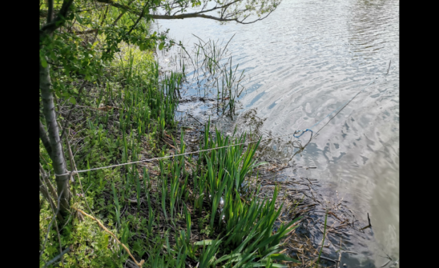 През последните дни служители на ИАРА от сектор Рибарство и