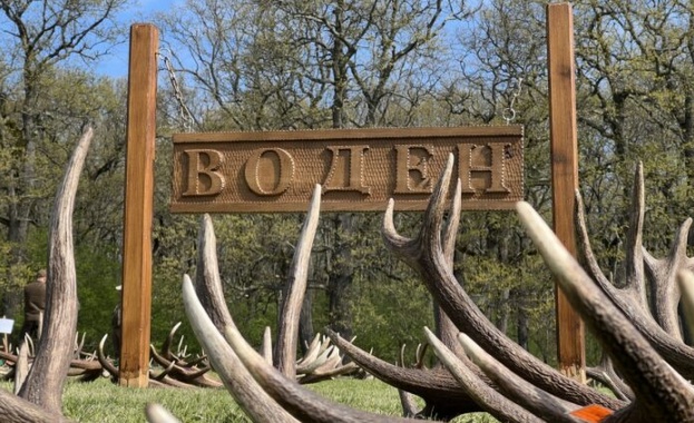 Осмото издание на Прегледа на паднали рога от благороден елен