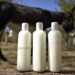 Магарешкото мляко – лек, имуностимулант и вкусна напитка