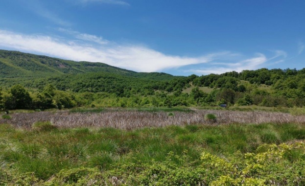 Министърът на околната среда и водите Росица Карамфилова издаде заповеди