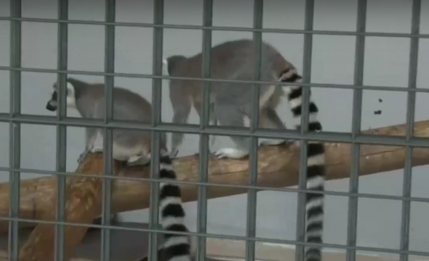 Нови попълнения в зоопарка в Стара Загора