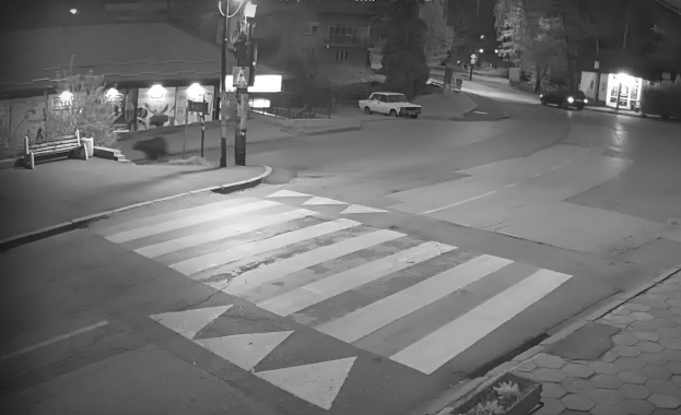 Мечка спринтира по улиците на софийския квартал Владая Животното бе