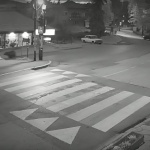 Мечка спринтира по улиците на Владая 