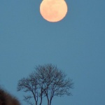 Лунно затъмнение ще се наблюдава от България на 5 май