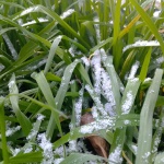 Сняг през май изненада родопско село