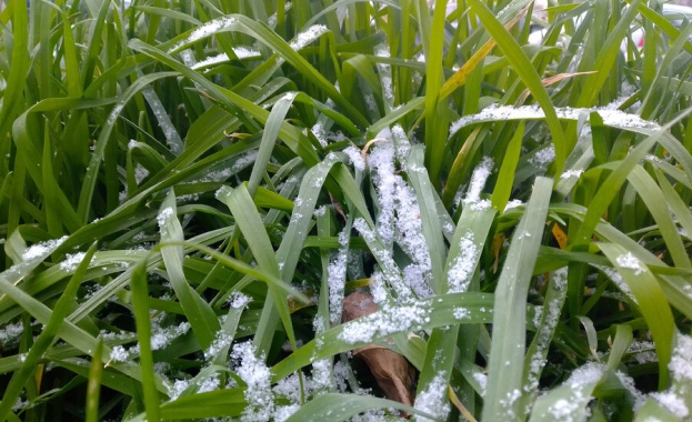 Сняг през май изненада родопско село