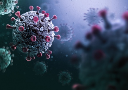 В страната ни не са установени нови случаи на коронавирус за последните 24 часа