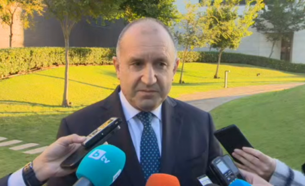 Внезапният порив на г жа Габриел да поиска отстраняването на Иван