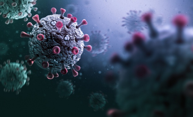 Само 6 са новите случаи на коронавирус за денонощие у