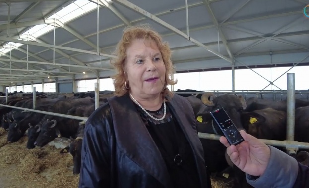 Собственичка на най-голямата ферма за биволи у нас се бори за повече права на жените фермерки