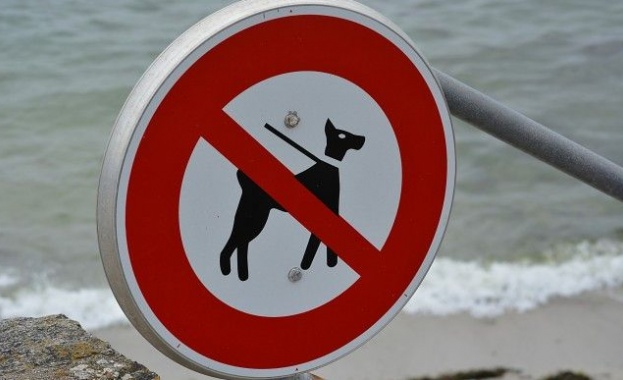 Във Варна слагат край на разходките на кучета по плажа