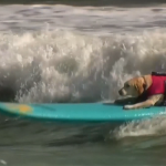 Състезание по сърф за кучета във Флорида