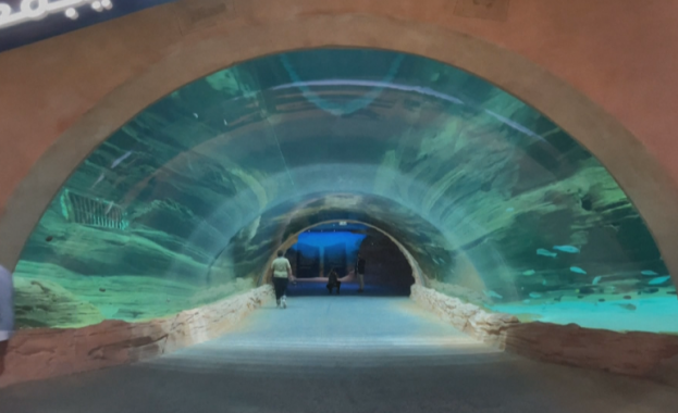Тематичният парк Морски свят в Абу Даби беше открит официално