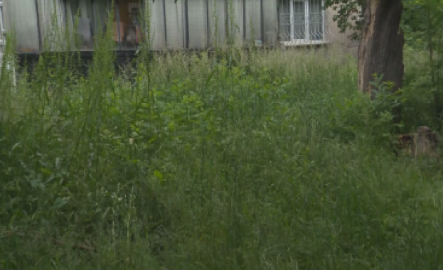 Родители от столичния квартал Борово се оплакват от неподдържаните зелени