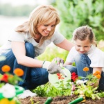 Черно злато за градината ви - как да си направите компост от отпадъци
