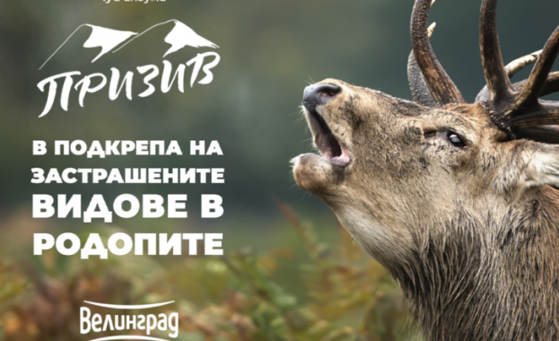 Ембиънт албумът Призив в подкрепа на застрашените видове в Родопите