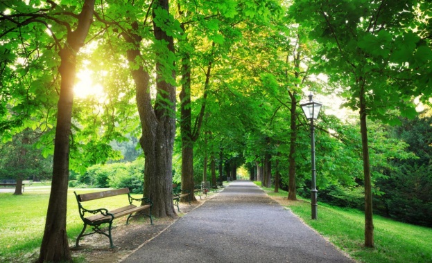 Утре ще бъде предимно слънчево