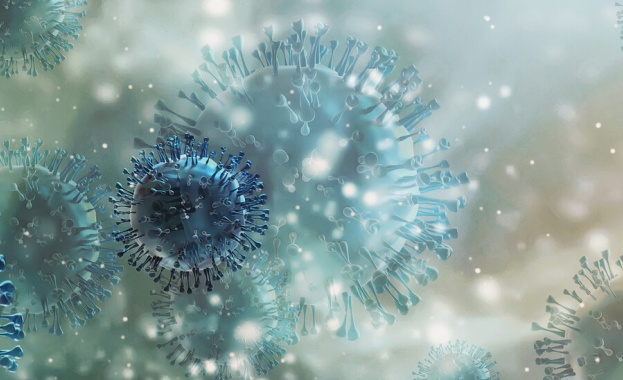 222 ма са регистрираните новозаразени с коронавирус у нас през изминалото