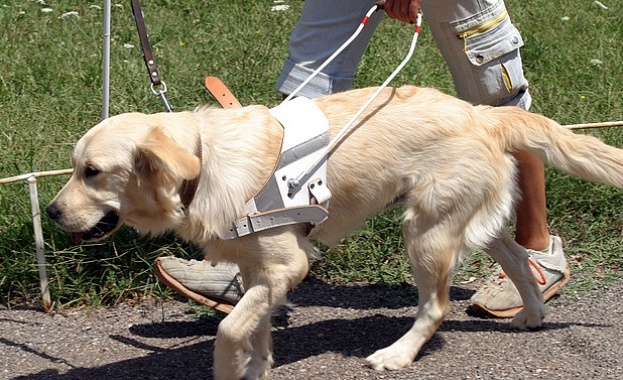 В България има над 11 000 души с нарушено зрение