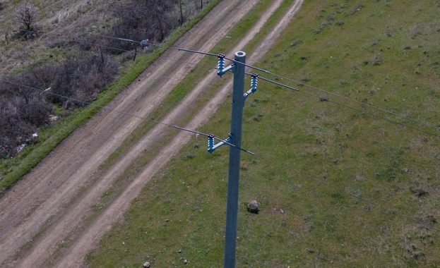 Електроразпределение Юг обезопаси за птиците над 950 стълба от мрежата в обл. Бургас