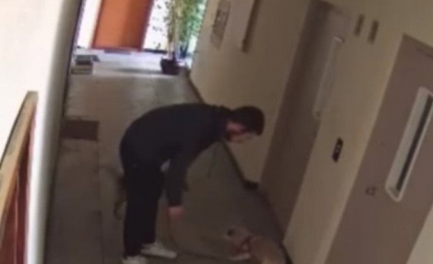 24-годишен мъж беше заснет да рита беззащитно малко куче