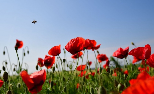 До полунощ явленията навсякъде ще затихнат и купестата облачност ще