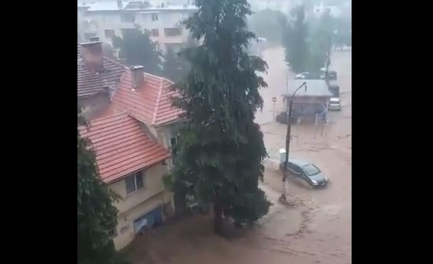 Обявено е бедствено положение в Берковица след проливния дъжд Кметът