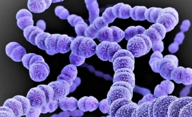 Гърция разследва 6 смъртни случая на деца със стрептококова инфекция