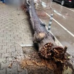 Не стойте на открито, има опасност от падащи предмети