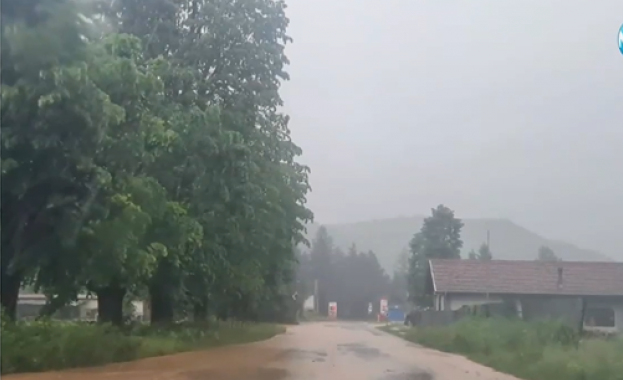 Подадени са сигнали за незаконна сеч в гората край Етрополе