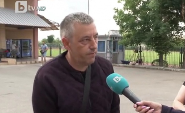 Немски овчарки разкъсаха смъртоносно домашно куче изведено на разходка от