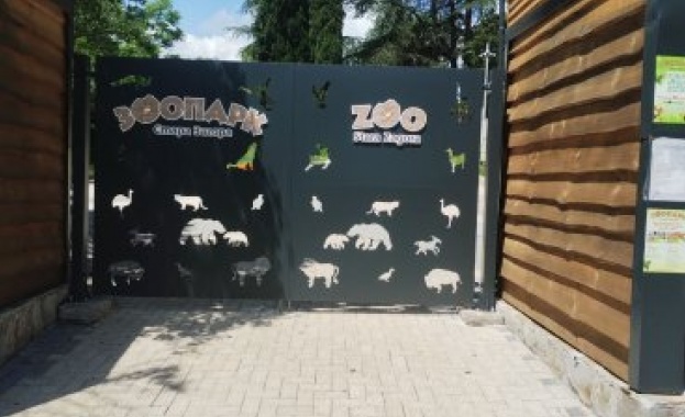 Служителят в старозагорския зоопарк ще бъде наказан заради избягалия черен леопард