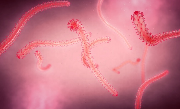 Случай на опасното вирусно заболяване хеморагична треска с бъбречен синдром