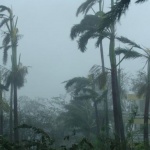 Броят на загиналите при преминаването на тропическата буря "Буалой" през Филипините достигна 11 души