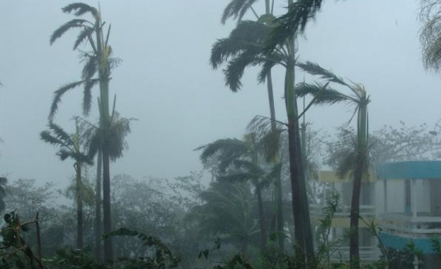 Тропическата буря Офелия бушува в няколко американски щата За поройни