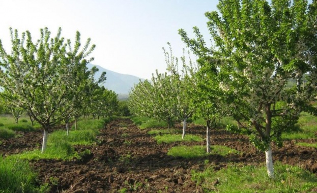 Земеделските производители от Сливенска област където има установени поражения на