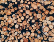 В седмицата между Коледа и Нова година търговията на Софийската стокова борса беше предимно на енергоносители