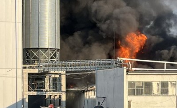 Огромен пожар в завода за храни и фуражи за животни