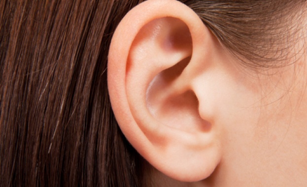 Лявото и дясното ухо възприемат различни звуци