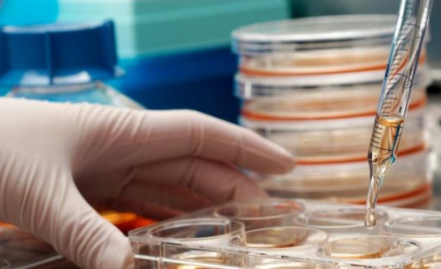 Родителите на 10 922 бебета са запазили стволовите им клетки през 2022 г.   