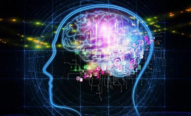 Поставиха нов вид мозъчен пейсмейкър