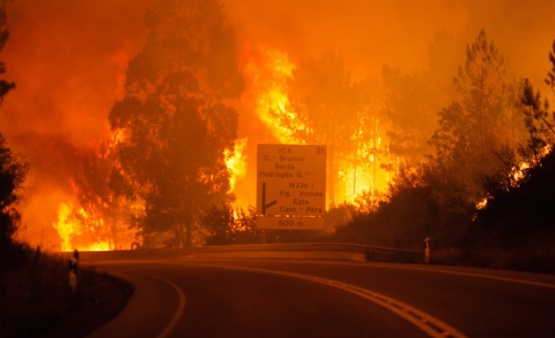 16 семейства останаха на улицата след огнен ад