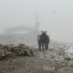 Сняг заваля на Мусала (Видео)